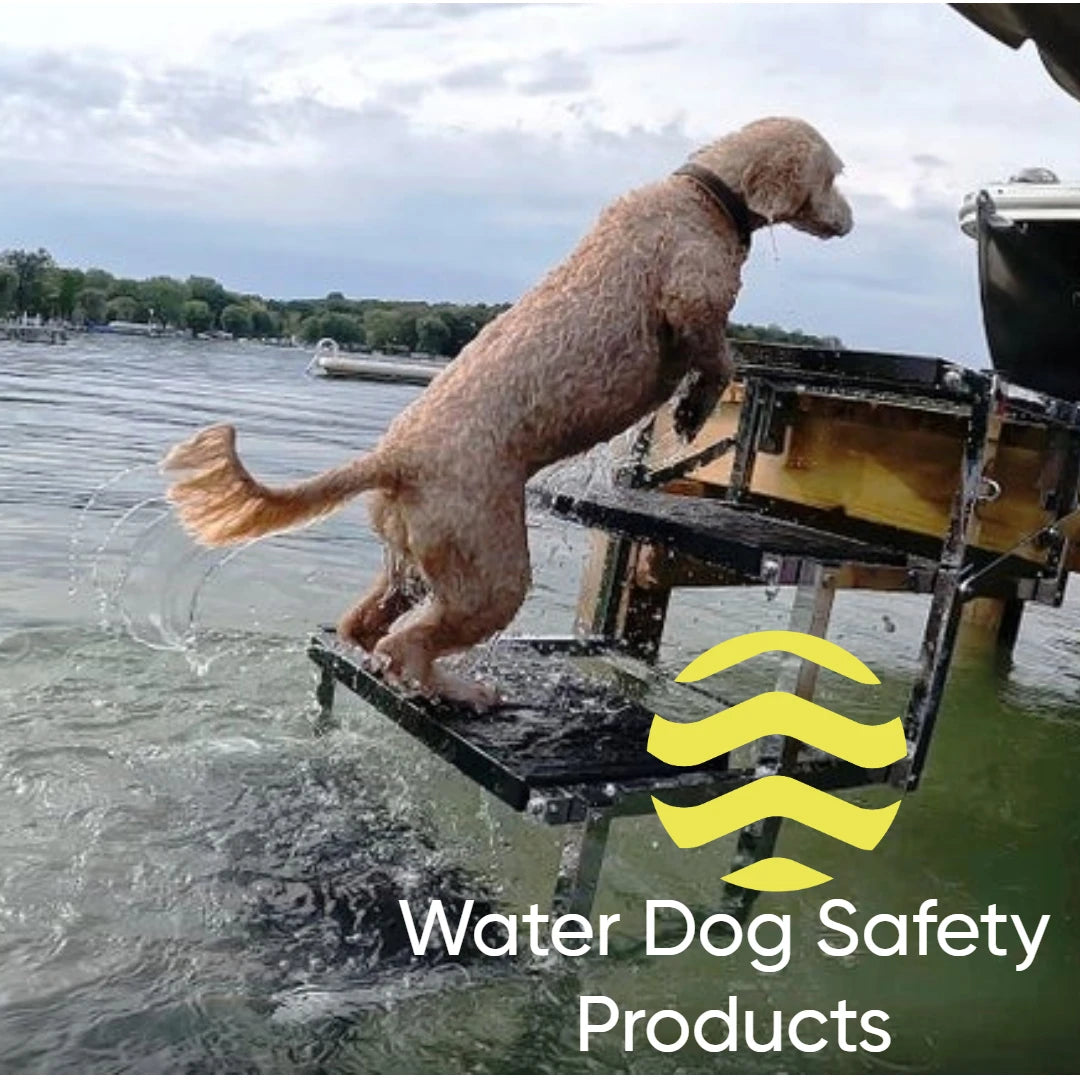 Water Dog Safety Products