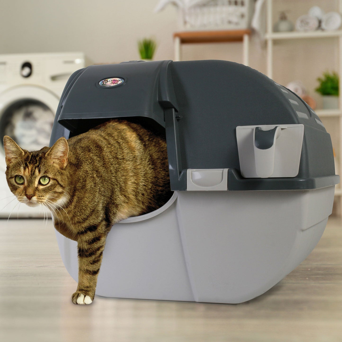 Omega Paw Premium Roll 'N Clean Self Cleaning Litter Box, Large Size, Gray