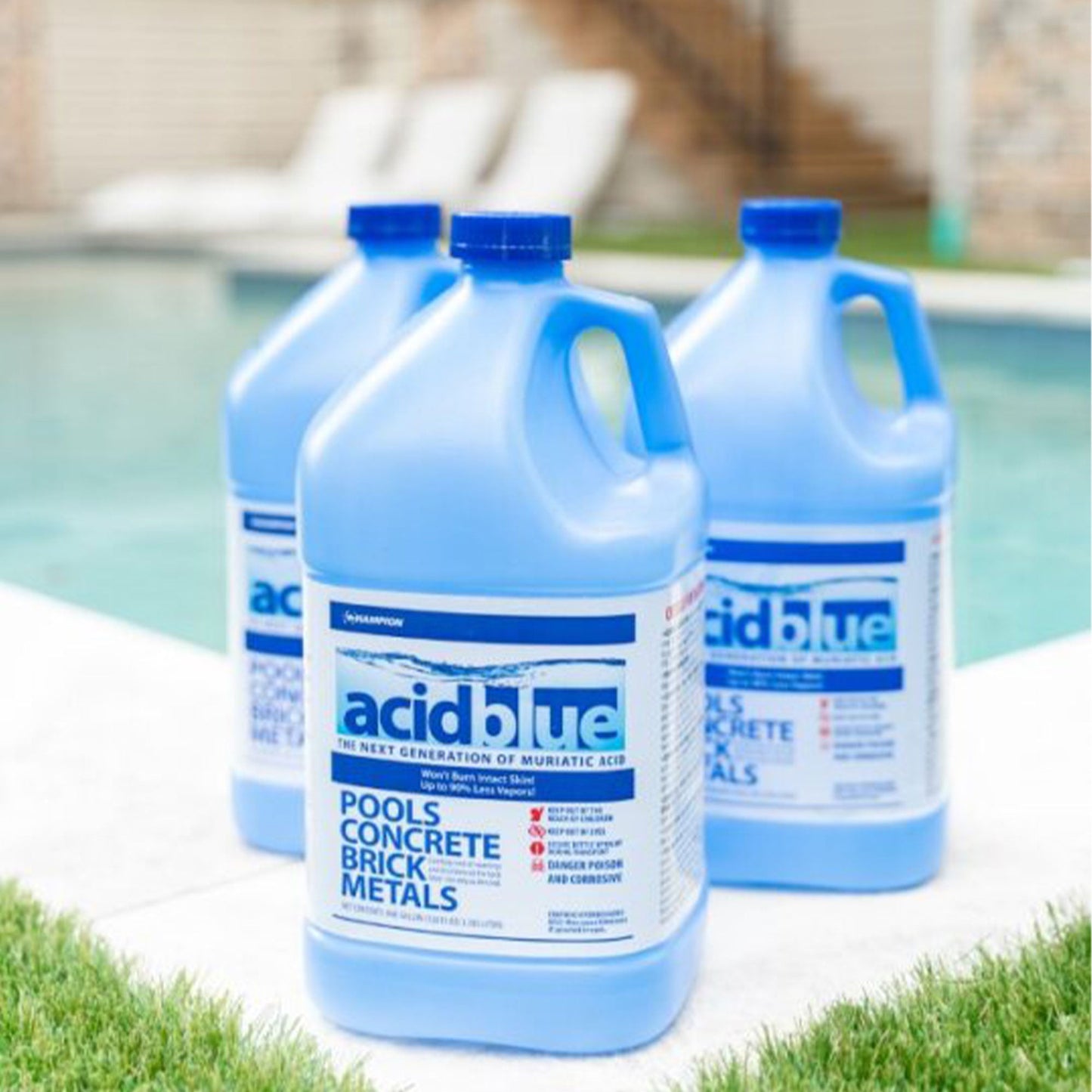Champion Acid Blue Muriatic Acid for Removal of Stains on Driveways (2 Pack)