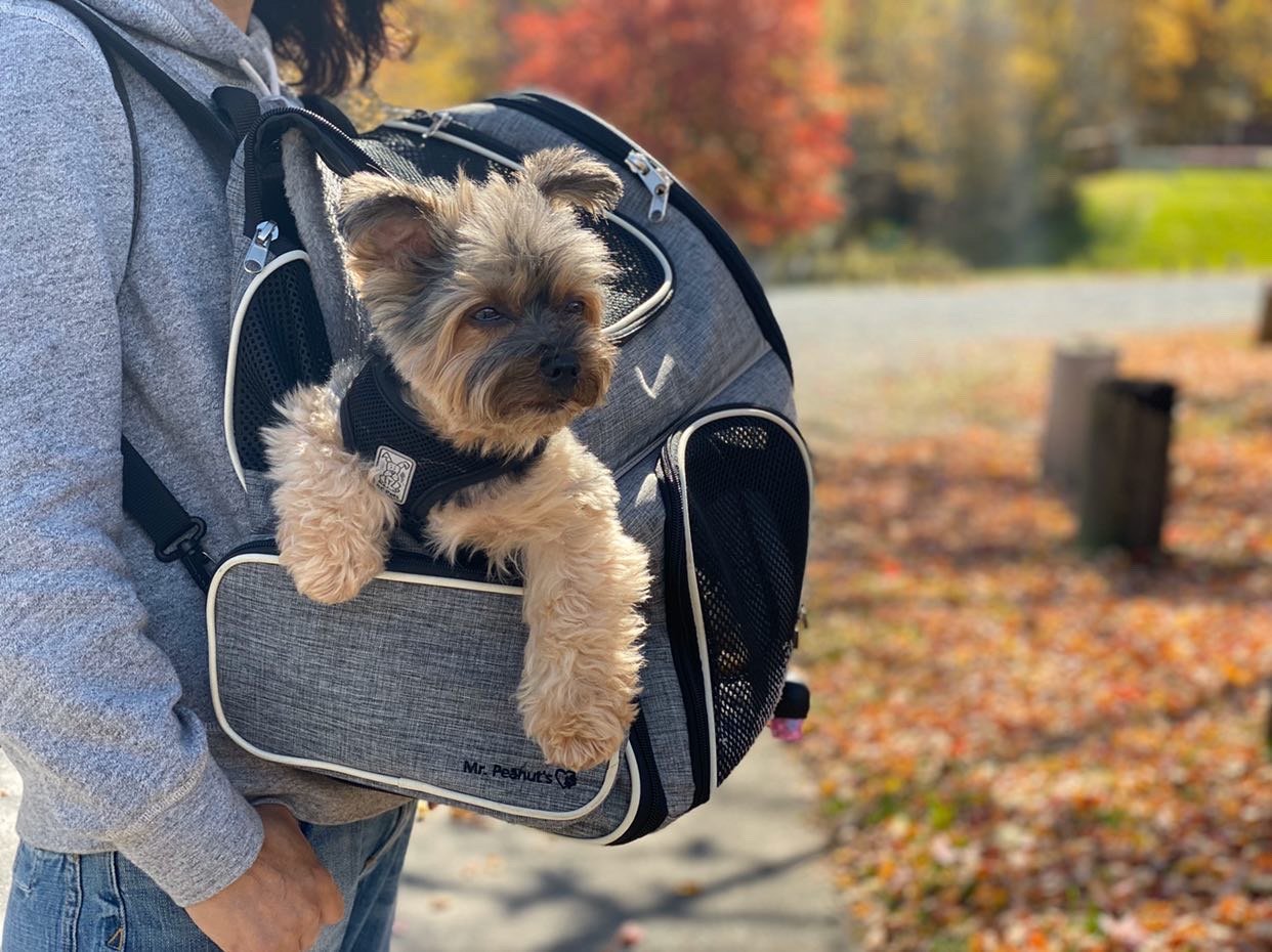 Mr. Peanut's Malibu Series Backpack Pet Carrier Stroller With Detachable Wheelbase