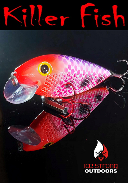 NEW!!!  Killer Fish - Rattling Shallow Diver UV