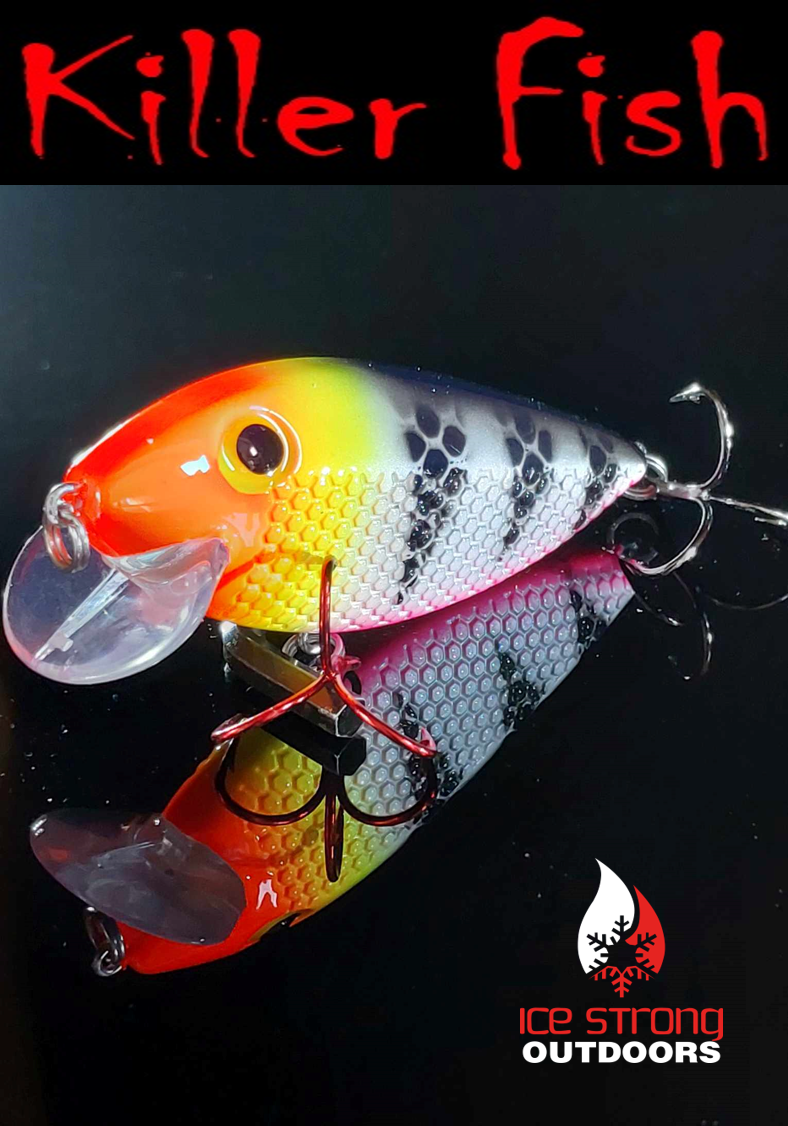 NEW!!!  Killer Fish - Rattling Shallow Diver UV