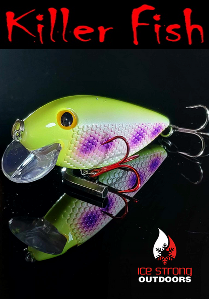 NEW!!!  Killer Fish - Rattling Shallow Diver UV