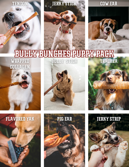 Bully Bunches Puppy Pack