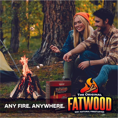Betterwood Fatwood Firestarter, All Weather Natural Pine Fire Sticks, 10 Pounds