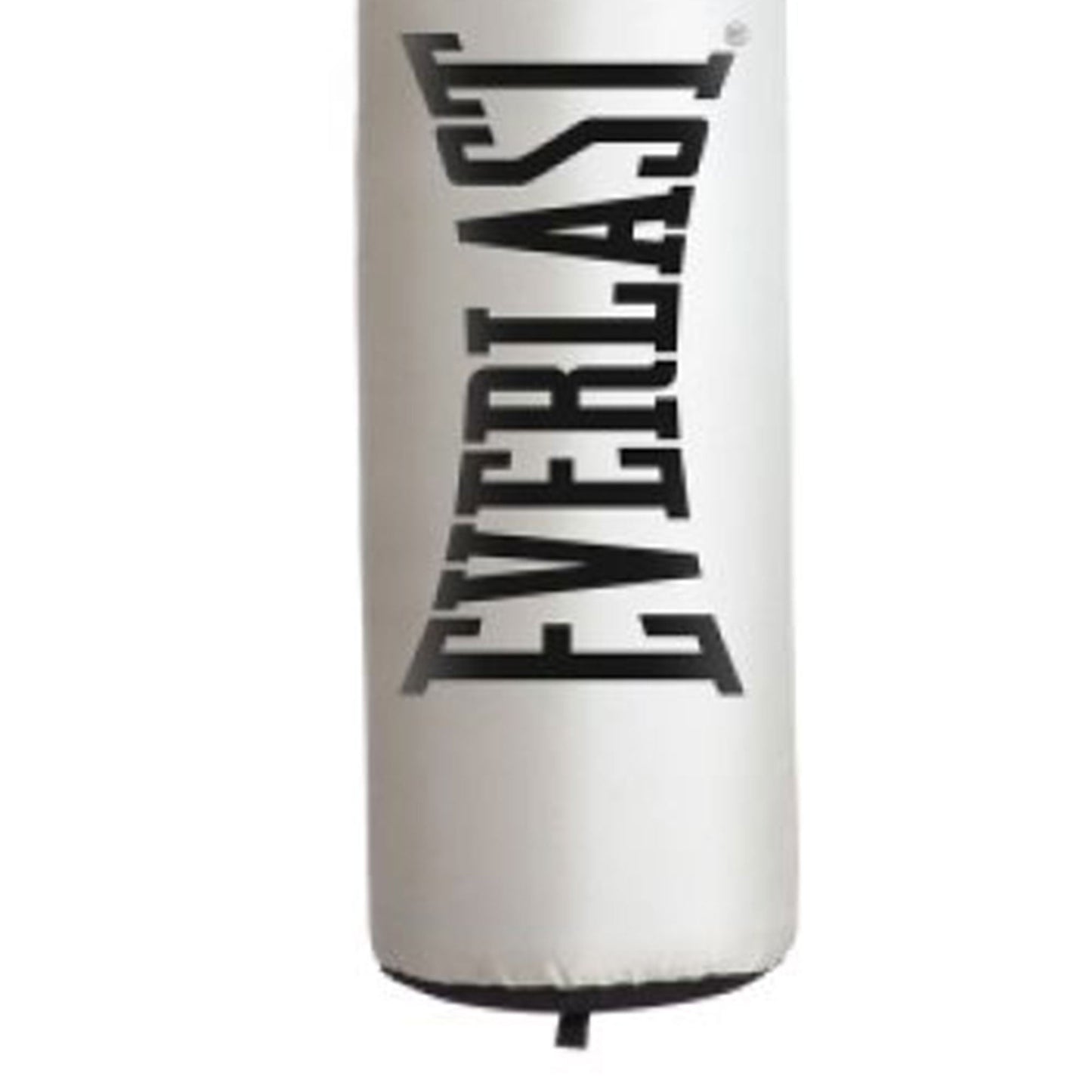 Everlast Nevatear Fitness Workout 60 Pound Heavy Boxing Punching Bag, Platinum