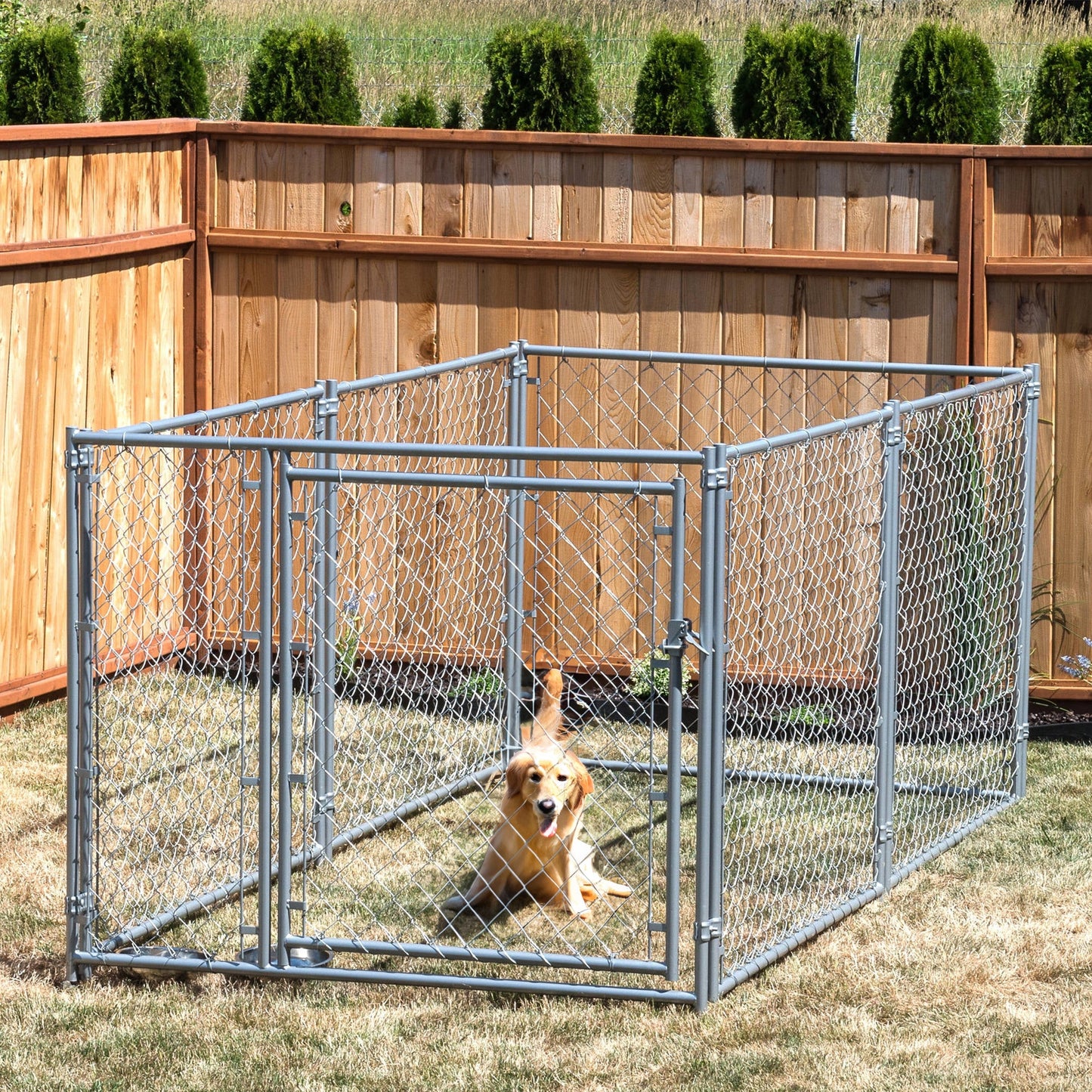 Lucky Dog 10' x 5' x 4' Heavy Duty Steel Outdoor Chain Link Dog Kennel Enclosure