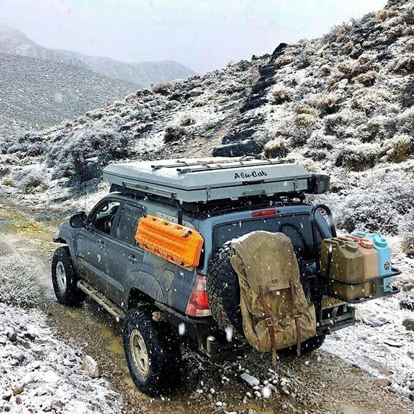 Scepter BPA Durable 5 Gallon 20 Liter Portable Water Storage Container (4 Pack)