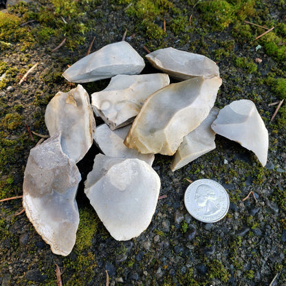 Natural Flint / Chert Stones for Primitive Fire Making - 8-12 pcs [.5 lb]