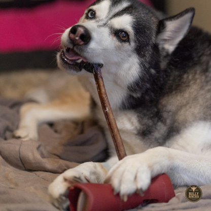 12 Inch Standard Bully Stick