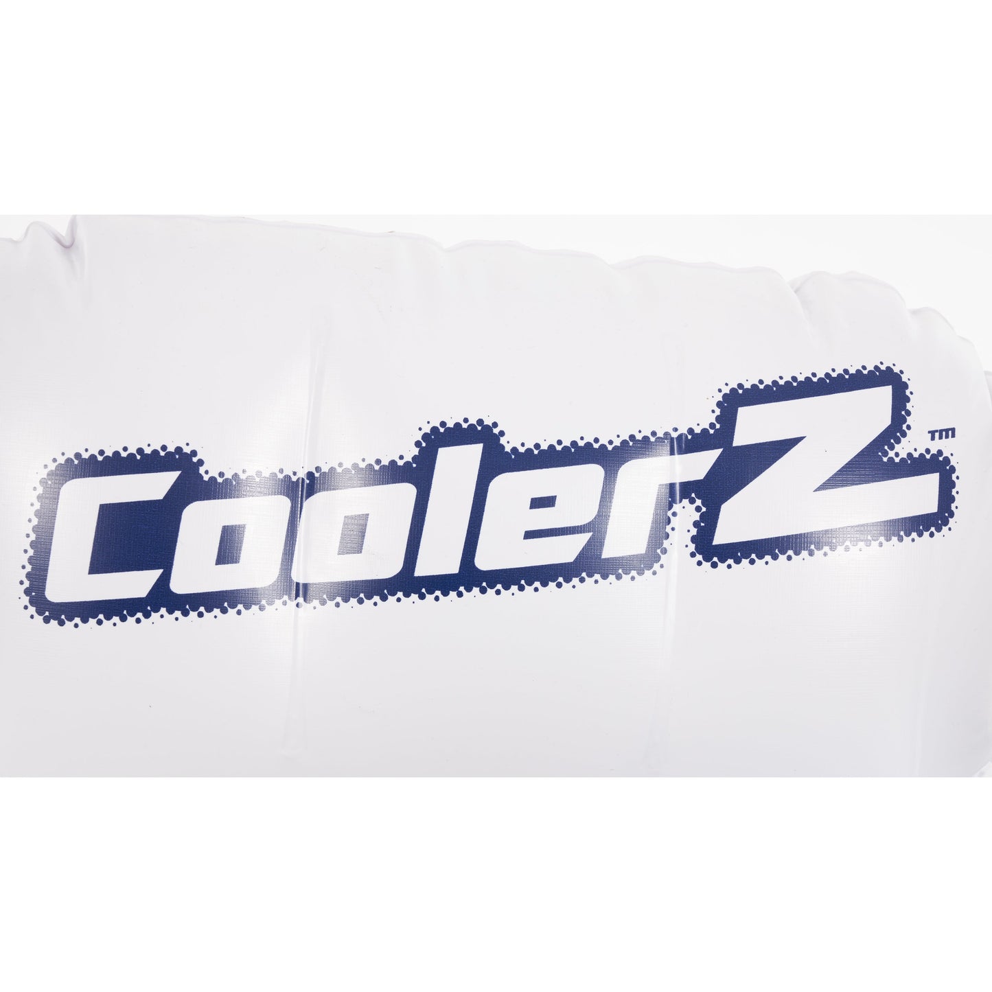 Bestway CoolerZ Rapid Rider Inflatable Lake Pool Tube Float, Blue/Gray, 4 Pack