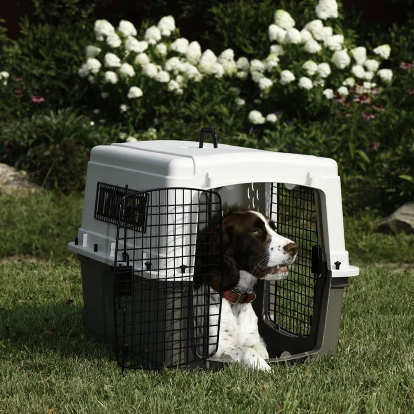 Miller Manufacturing Hard Sided Double Door Dog & Pet Travel Kennel Crate, Brown