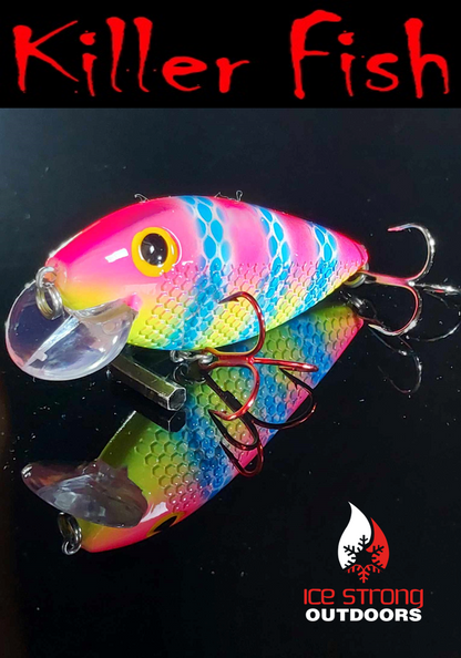 NEW!!!  Killer Fish - Rattling Shallow Diver UV