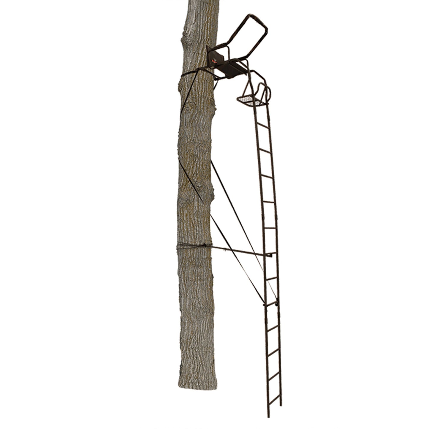 Big Game Warrior DXT 17 Foot 1 Person Deer Hunting Ladder Climbing Tree Stand