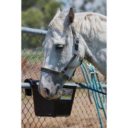 Little Giant HF15BLACK Heavy Duty 15 Quart Mountable Plastic Hook Feeder, Black