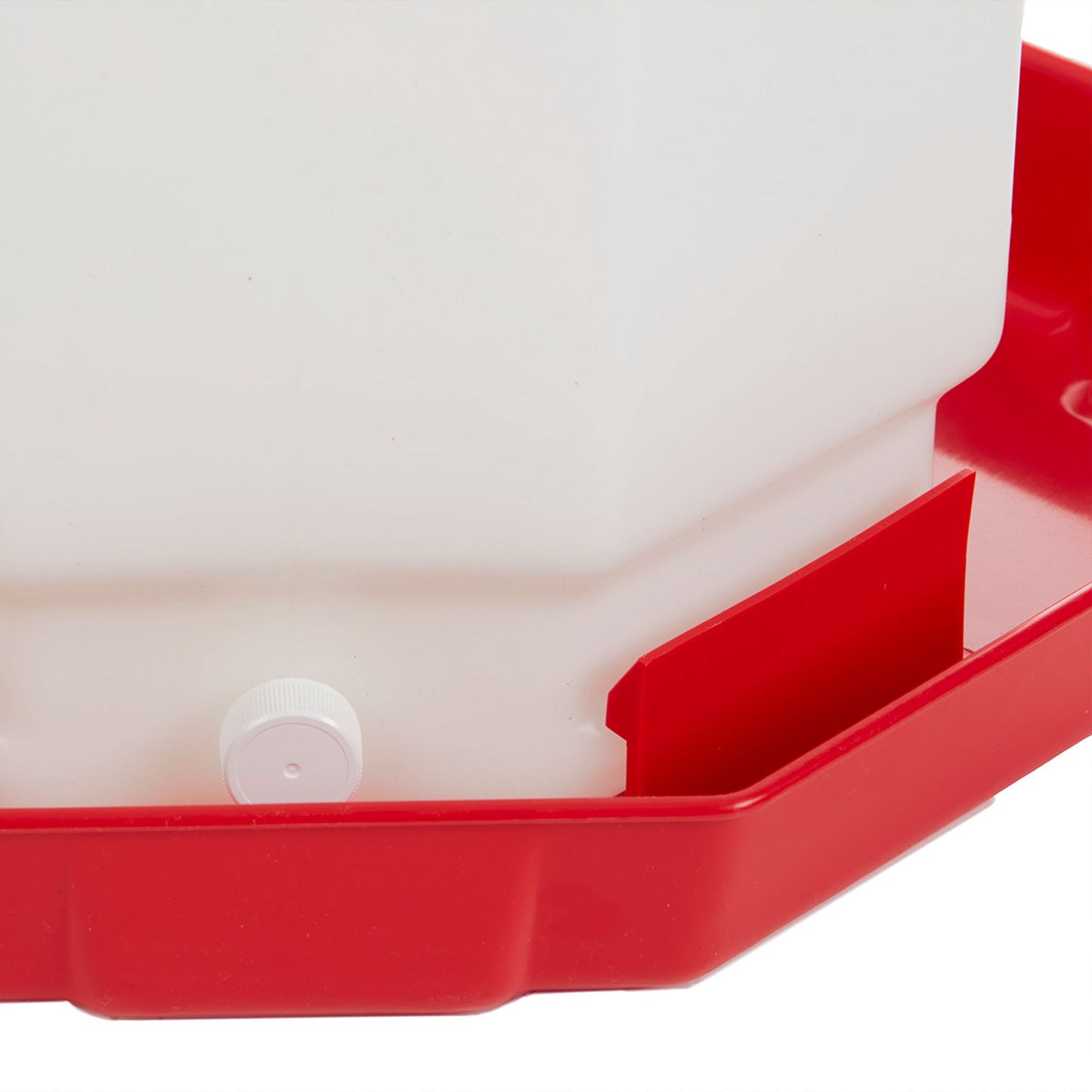 Little Giant PPF7 7 Gallon Capacity Automatic Poultry Waterer for Chickens, Red