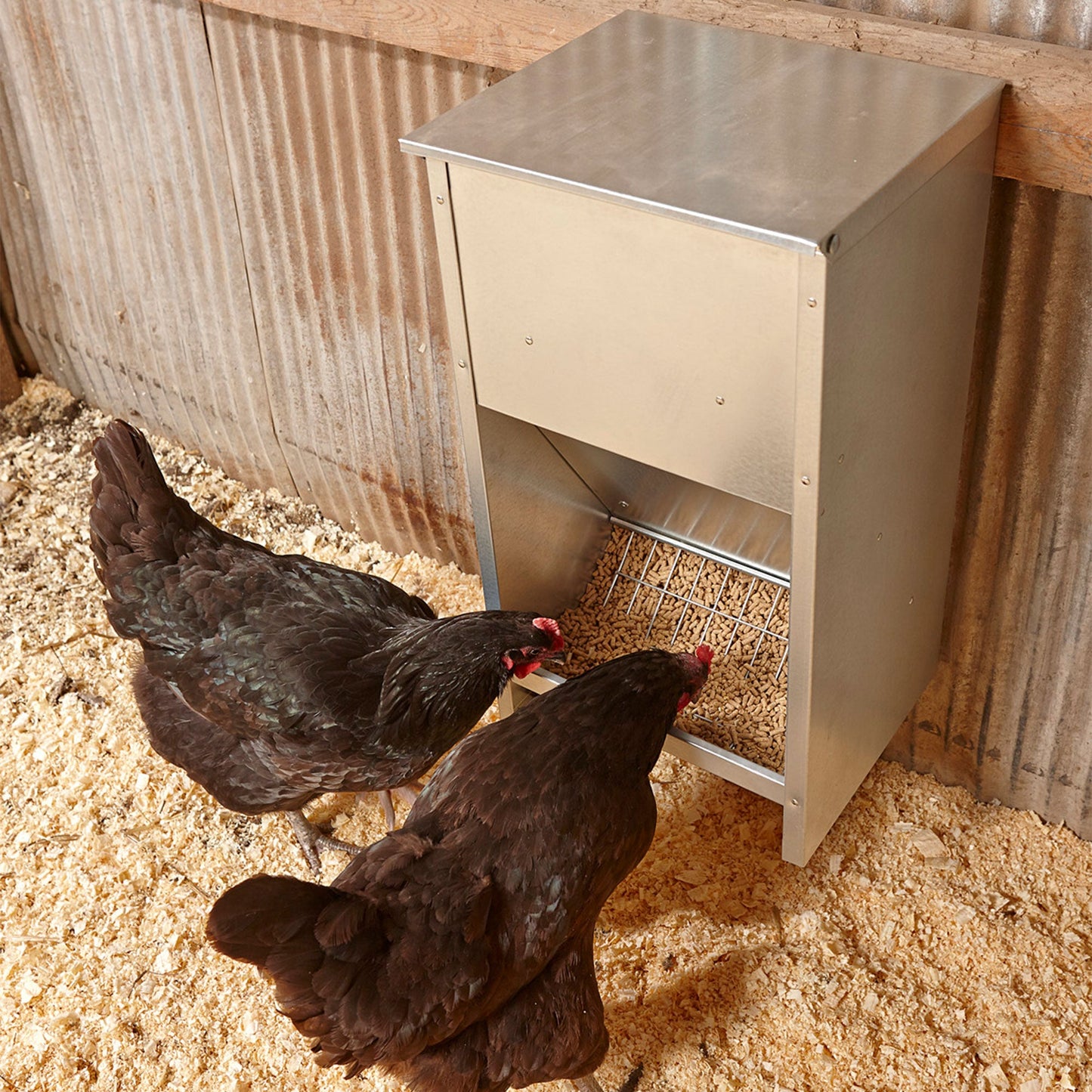 Little Giant 25 lb Large High Capacity Galvanized Steel Poultry Feeder w/Grid