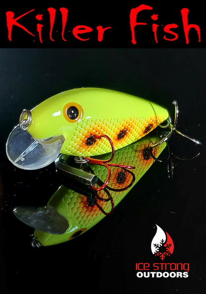 NEW!!!  Killer Fish - Rattling Shallow Diver UV