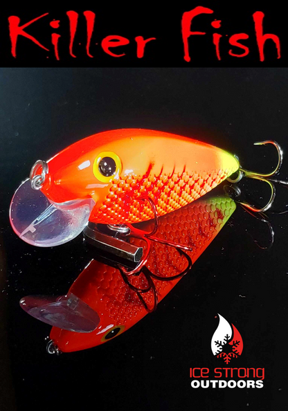 NEW!!!  Killer Fish - Rattling Shallow Diver UV