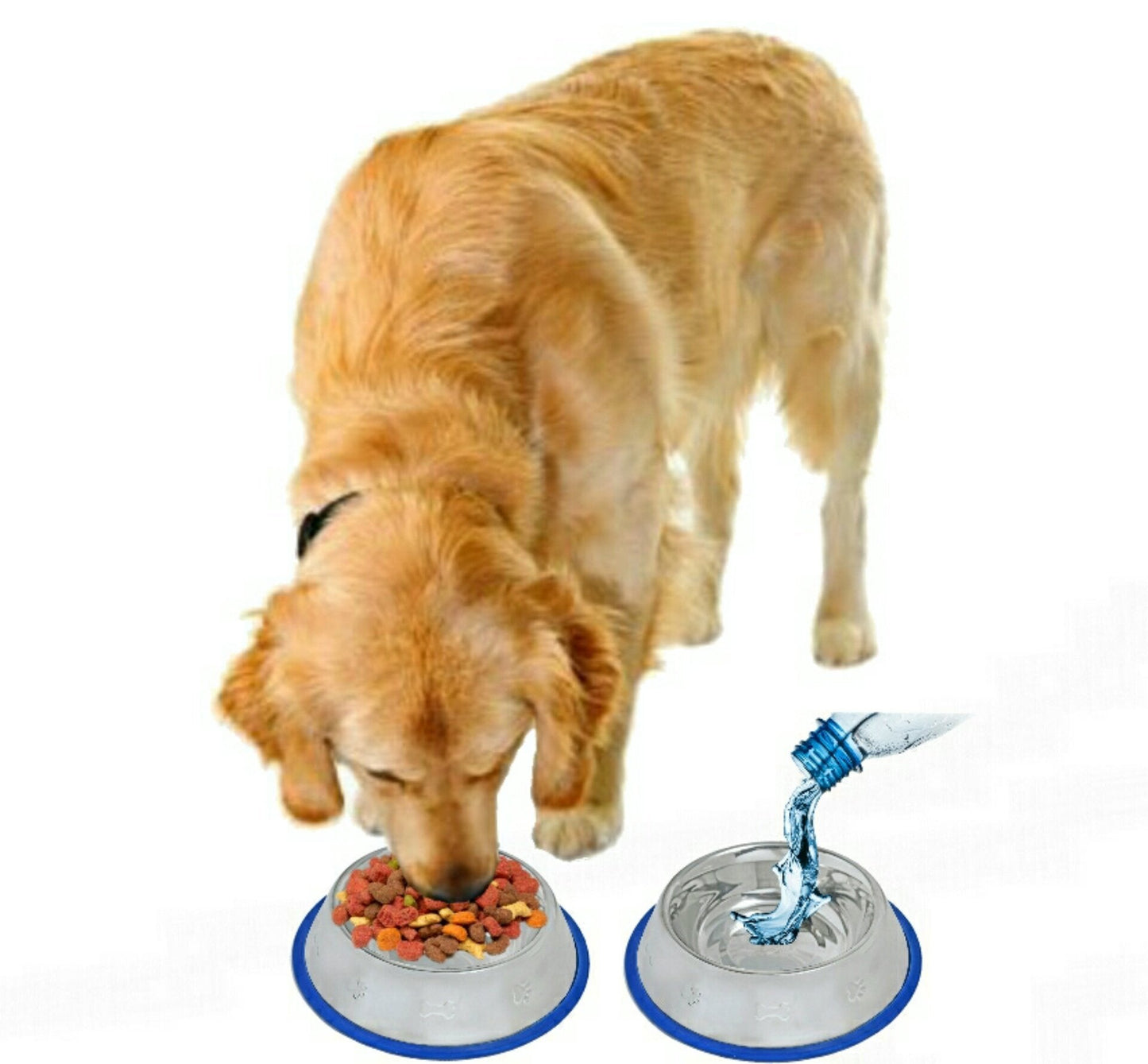 Set of 2 Etched Stainless Steel Dog Bowls with Blue Silicone Base