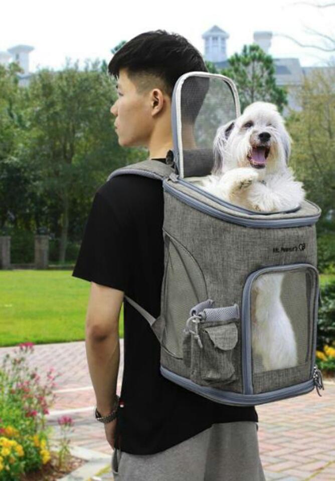 Mr. Peanut's Vancouver Series Backpack Pet Carrier for Smaller Cats and Dogs