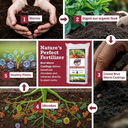 Brut Worm Farms Organic Worm Castings Soil Builder Set, 30 Pound Bag (2 Pack)