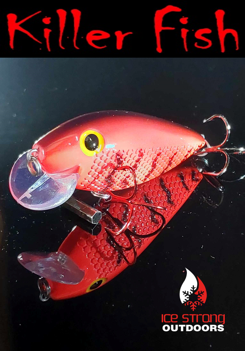 NEW!!!  Killer Fish - Rattling Shallow Diver UV