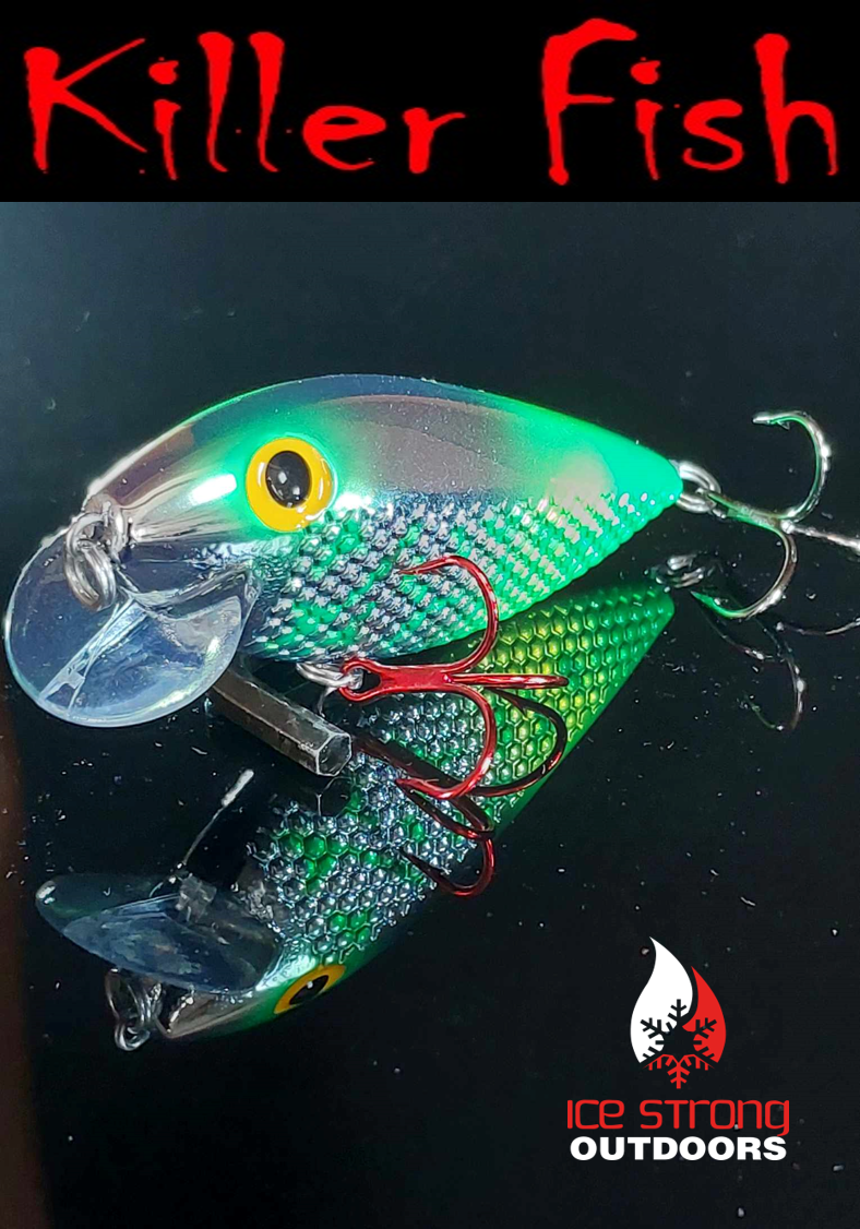 NEW!!!  Killer Fish - Rattling Shallow Diver UV