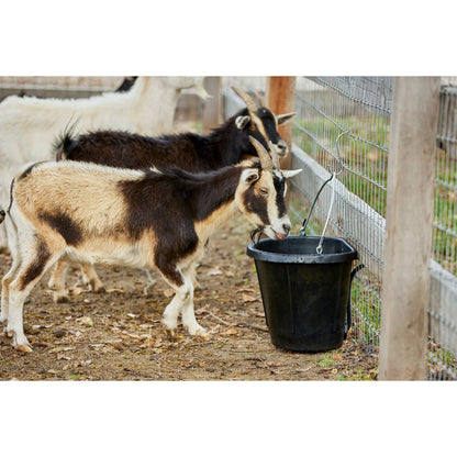 Farm Innovators FB-80R Rubber 3 Gallon Flat Back Heated Bucket, 70 Watt, Black