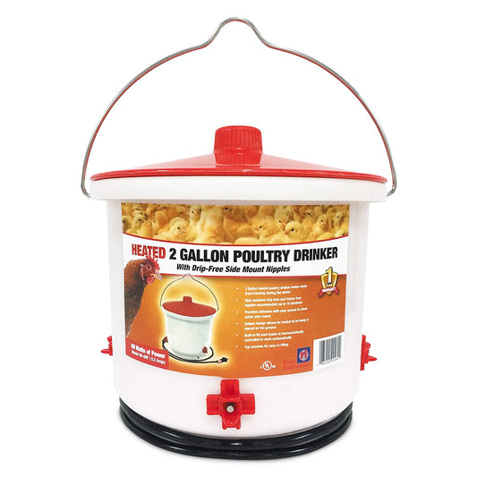 Farm Innovators HB-60P Heated 2 Gallon Poultry Water Bucket Drinker, White/Red