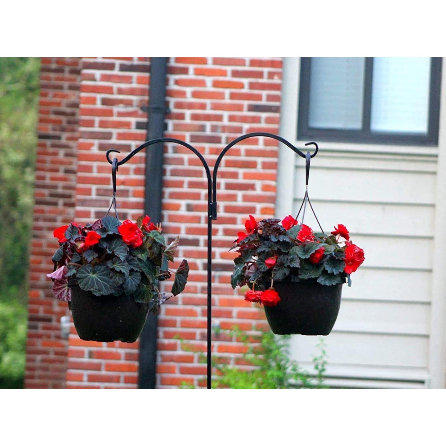 Ashman Premium Steel Ground Stake Shepherd's Hook 65 Inch 2 Sided, Black, 2 Pack