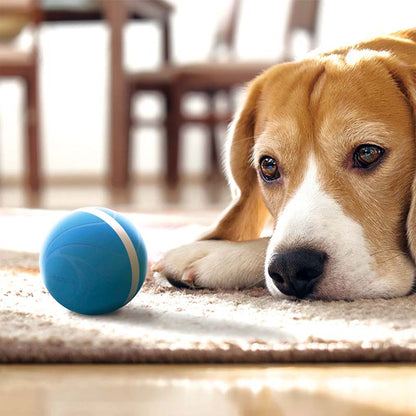 Cheerble Wicked Indoor Outdoor Self Propelling Interactive Dog Toy Ball, Blue