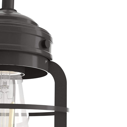 Hunter Fan Company Starklake 6 Bulb Rustic Hanging Chandelier, Noble Bronze