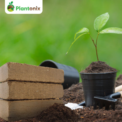 Plantonix Coco Bliss Premium Organic Coconut Coir Pith, 650GM Bricks (50 Pack)