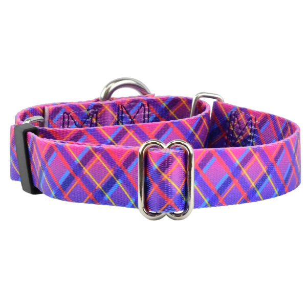 Neon Sunrise Pink Plaid Martingale Dog Collar – EarthStyle