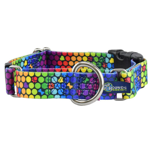 ROY G BIV Buckle Martingale Dog Collar – EarthStyle