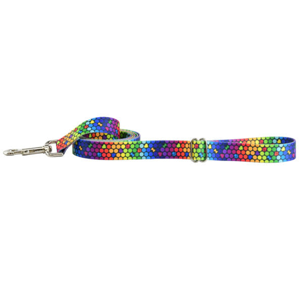 ROY G BIV Dog Leash – EarthStyle