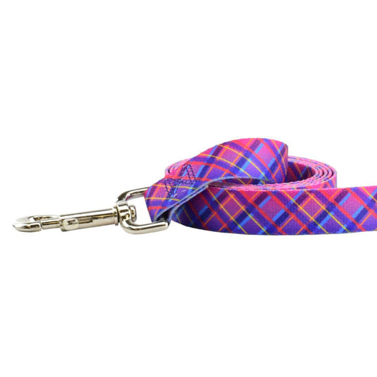 Neon Sunrise Pink Plaid Dog Leash – EarthStyle