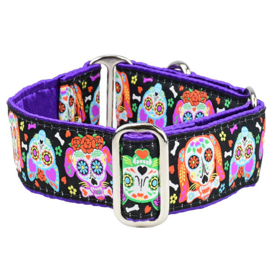 XOLO – Sugar Skull Buckle Martingale Dog Collar