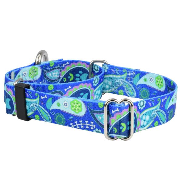 Paw Paisley Martingale Dog Collar – EarthStyle