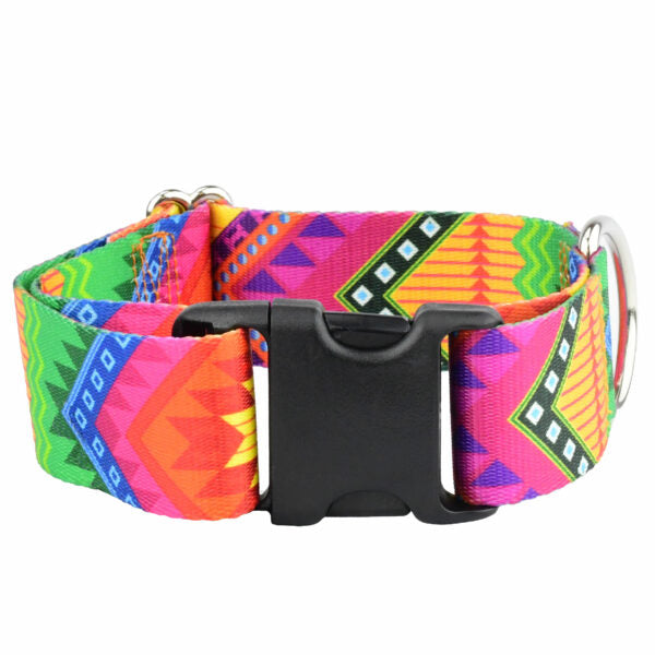 BFF (Best Friends Forever) Dog Collar – EarthStyle