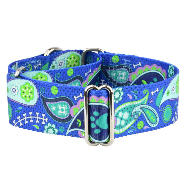 Paw Paisley Martingale Dog Collar – EarthStyle