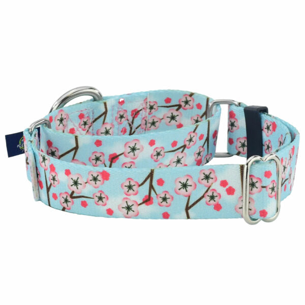 Cherry Blossoms Martingale Dog Collar – EarthStyle