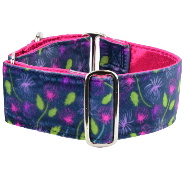 Midnight Dahlia Elite Velvet Martingale Dog Collar