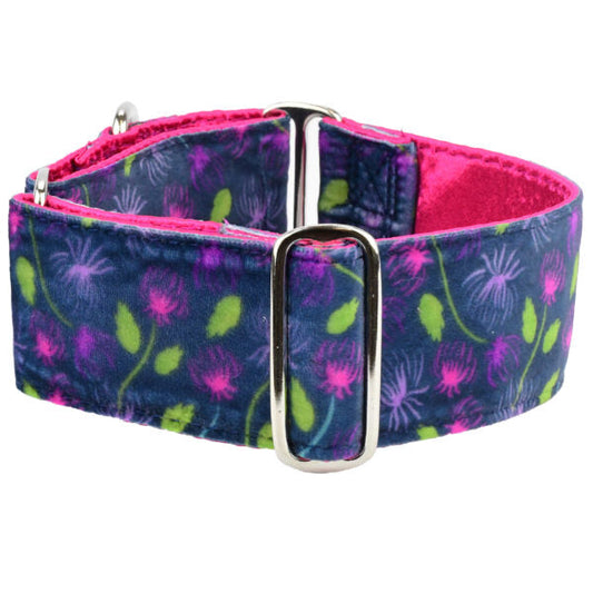 Midnight Dahlia Elite Velvet Martingale Dog Collar