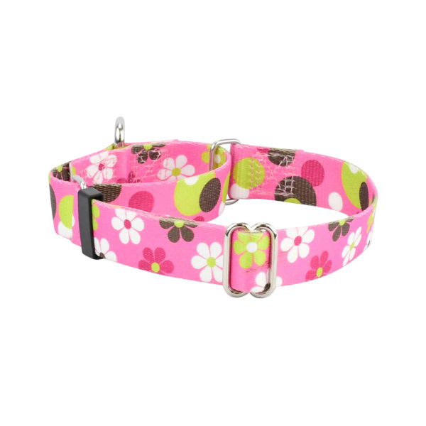 Daisy Dot Martingale Dog Collar – EarthStyle