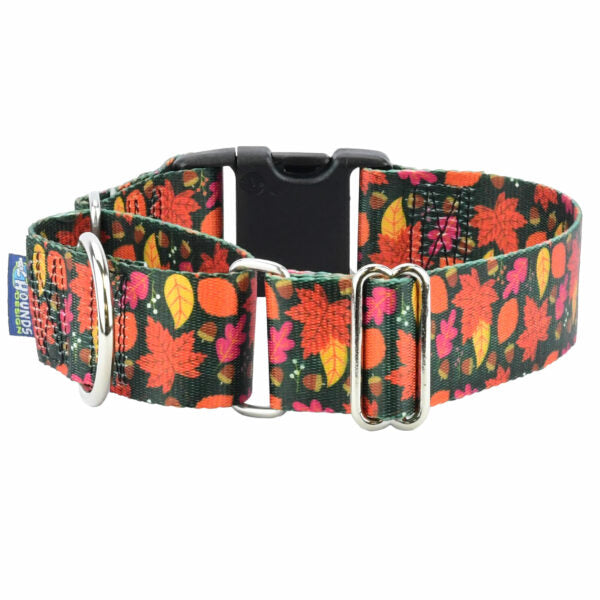 Falling Leaves Buckle Martingale Dog Collar – EarthStyle