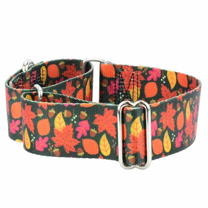 Falling Leaves Martingale Dog Collar – EarthStyle