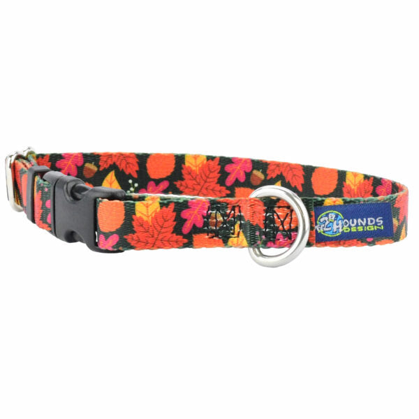 Falling Leaves Dog Collar – EarthStyle