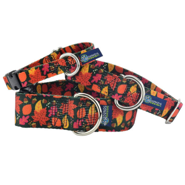 Falling Leaves Martingale Dog Collar – EarthStyle